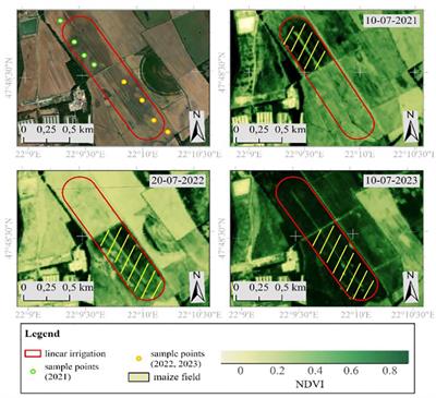 Hyperspectral indices data fusion-based machine learning enhanced by MRMR algorithm for estimating maize chlorophyll content